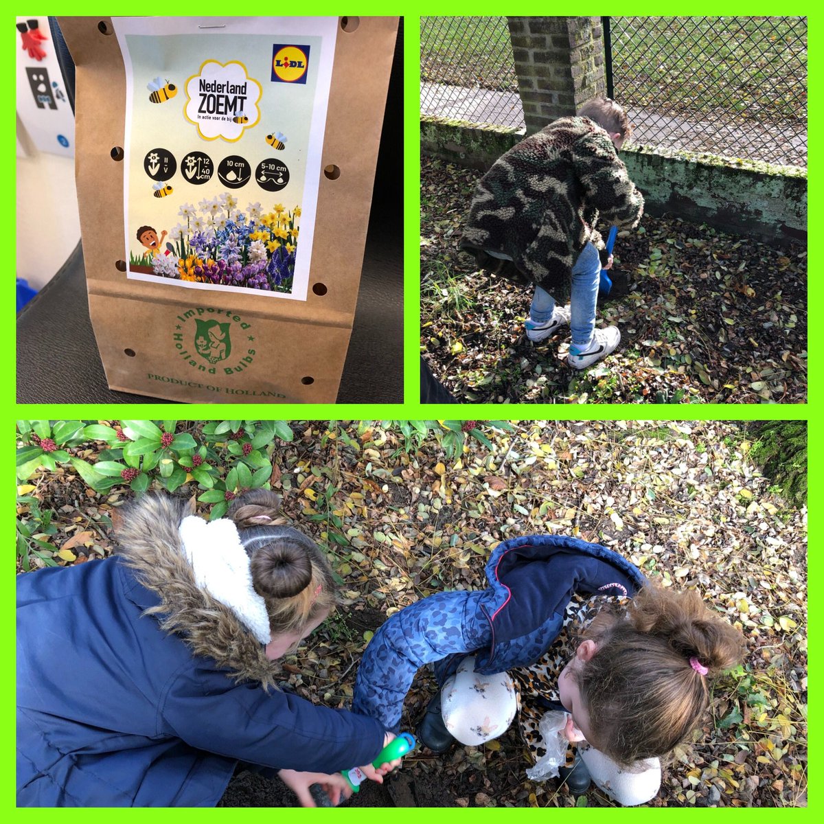 De Teugelaar (@deteugelaar) on Twitter photo Groep 4 zet de bloemetjes buiten…….. of nou ja, de bloembollen zijn geplant. Nu hopen dat we in de lente kunnen gaan genieten van een vrolijke, bloeiende tuin! <a href="/DeTeugelaar/">De Teugelaar</a> @SAAMscholen Groep 4 zet de bloemetjes buiten…….. of nou ja, de bloembollen zijn geplant. Nu hopen dat we in de lente kunnen gaan genieten van een vrolijke, bloeiende tuin! <a href="/DeTeugelaar/">De Teugelaar</a> @SAAMscholen
