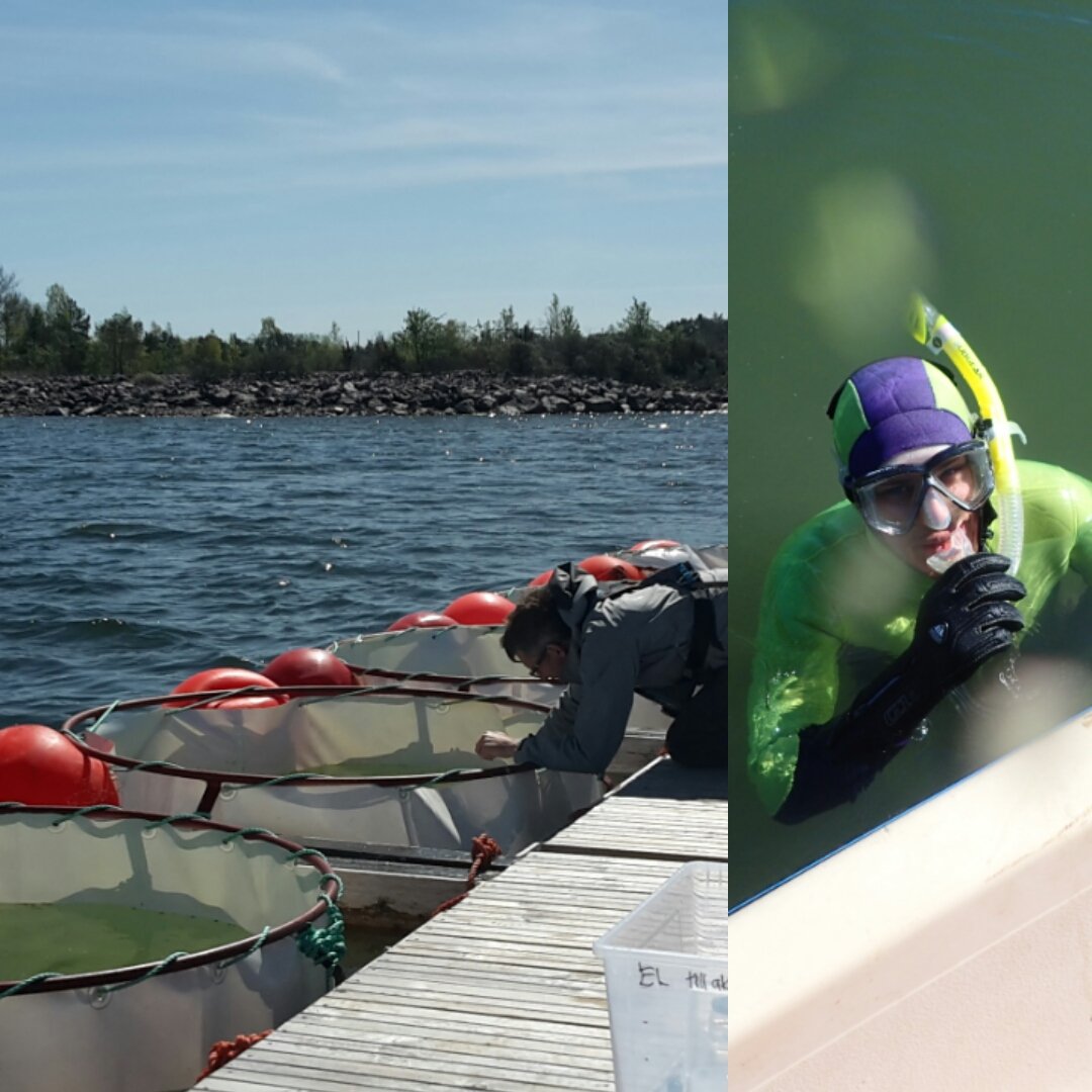 Anna Gårdmark tweet media