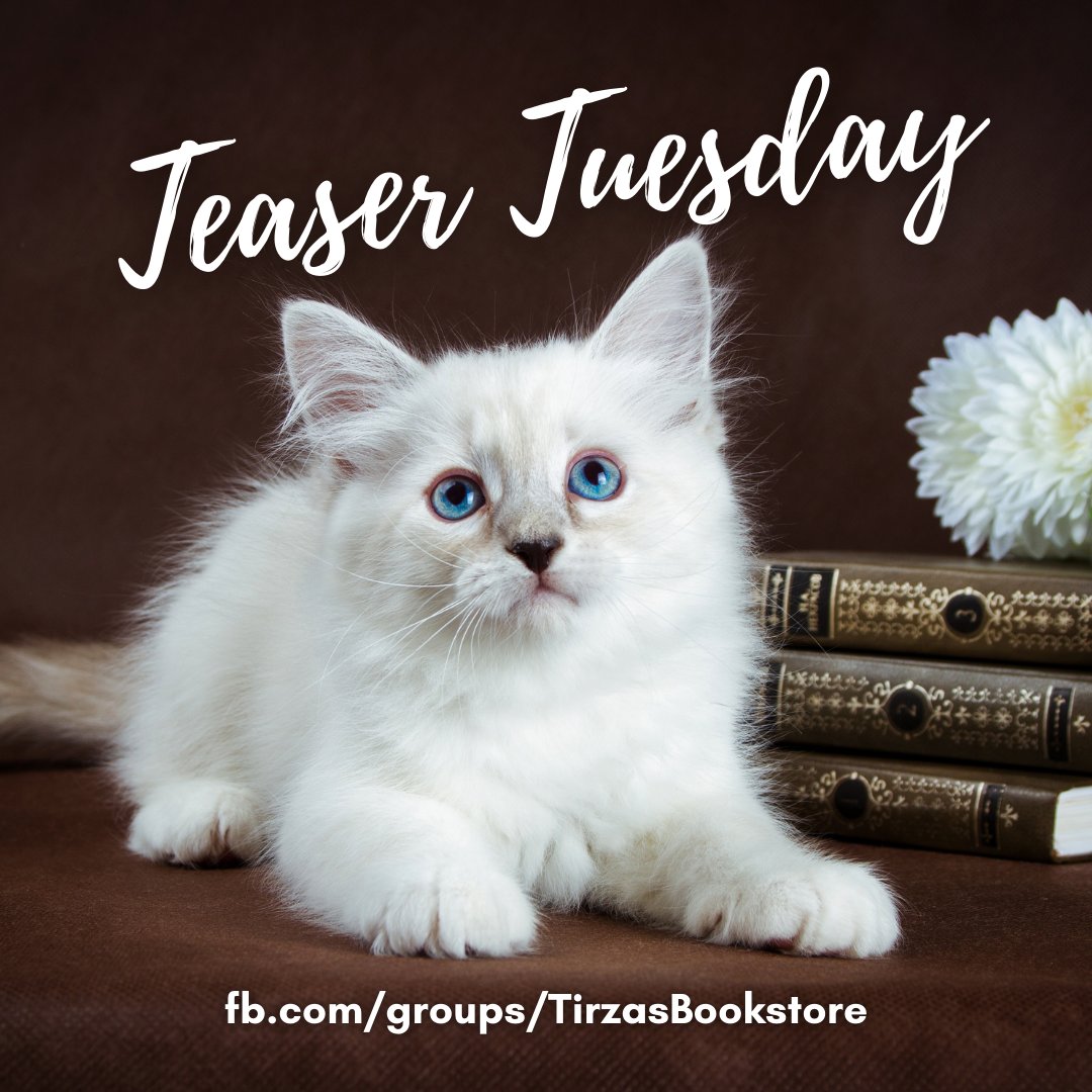 TirzaSchaefer's tweet photo. TEASER TUESDAY in Tirza's Bookstore &amp; The Magic Book Corner Facebook Group!
Join in the fun and share your snippets and teasers!
https://t.co/t9zrvHqtuU

#teasertuesday #teaser #snippet #facebookgroup #FB #bookish #authors #tirzaschaefer #authortirzaschaefer #magicbookcorner https://t.co/izdxWtJyqU