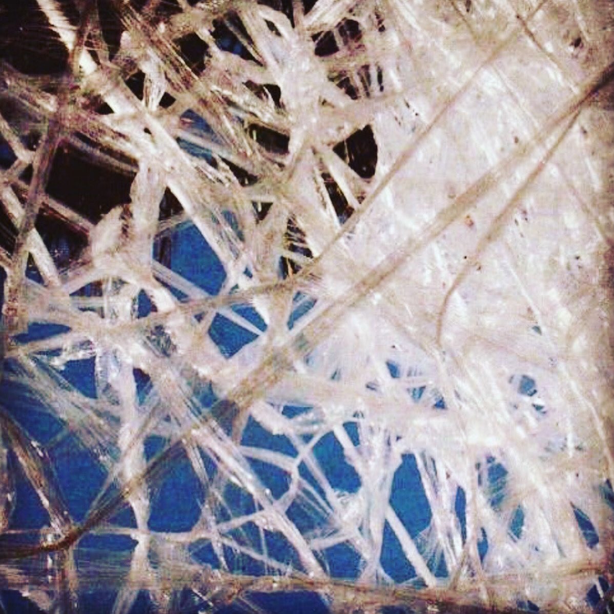 vcalderonosteo's tweet photo. Como decía A.T.Still al hablar de las fascias: "gracias a su acción vivimos y debido a su fallo morimos".
#osteopath #osteopathy #PonUnOsteópataEnTuVida #osteopata #osteopatia #osteópata #osteopatía #magoun #upledger #sutherland #violafrymann #torstenliem #andrewtaylorstill https://t.co/olAw8ZhuhM