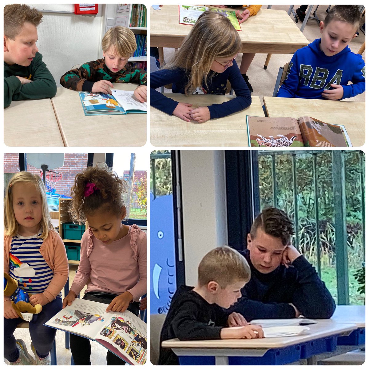 daltonbuut's tweet photo. #tutorlezen is een vorm van #samenwerkend #leren ,de #tutor helpt #tutee bij #technisch #leren , ontzettend leuk! Bevordert #leesmotivatie en #zelfvertrouwen @STEemVallei https://t.co/xexKUXXqbo