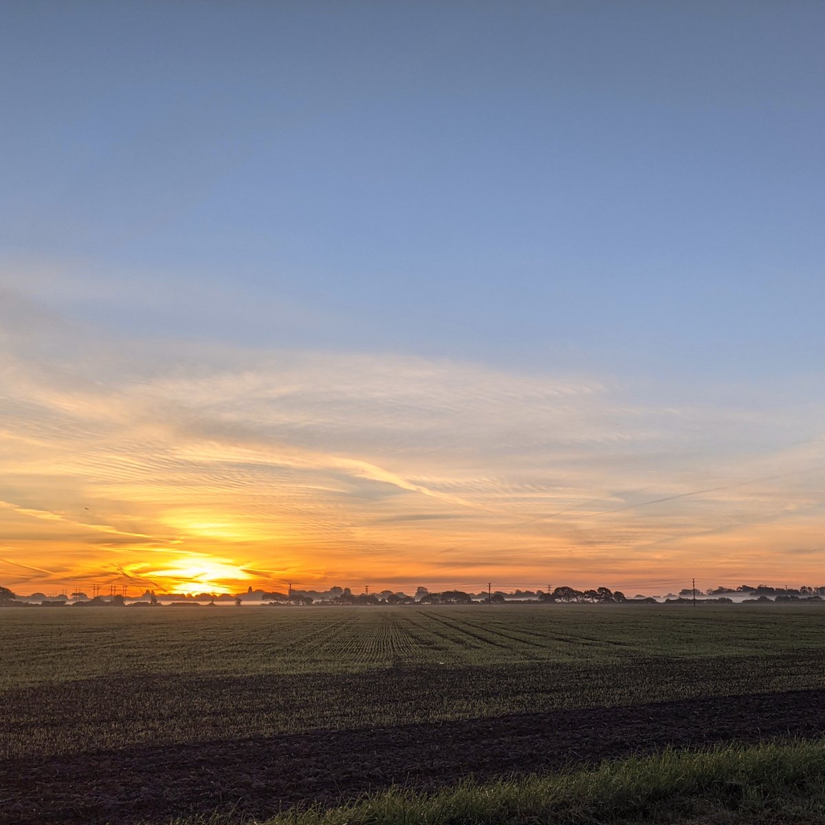 Good morning from PlantBox HQ ☀️

#PlantBox