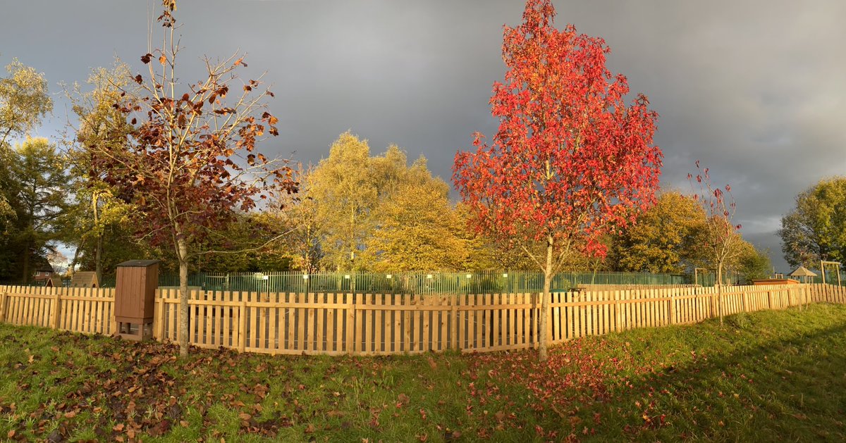 Hartford Manor is wearing it’s autumnal coat this morning.