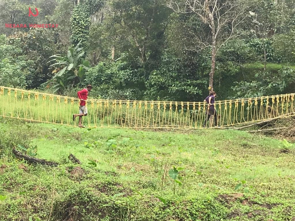 HomestayNesara's tweet photo. Activity-Rope hanging bridge..

Nesara Homestay
Devaladakere, Japavathy
Hanbal(H), Sakaleshpura
P: +91-9972111644
https://t.co/NsO4nL4PGs

#sakleshpura
#Homestay
#Nesarahomestay
#Homestayinsakleshpura https://t.co/ikSGuxbjYW