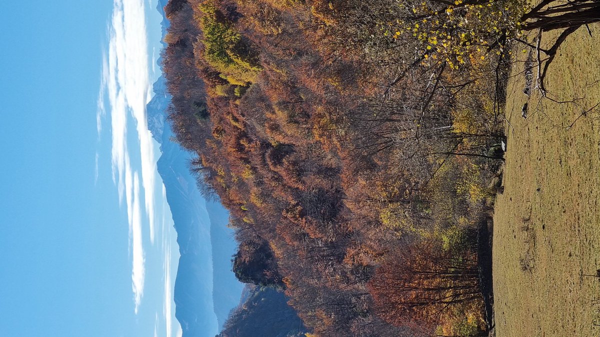 SrcSilvia's tweet photo. @Beppeley Sullo sfondo il Monviso col cappello!👋 https://t.co/IFiFwVHn5P