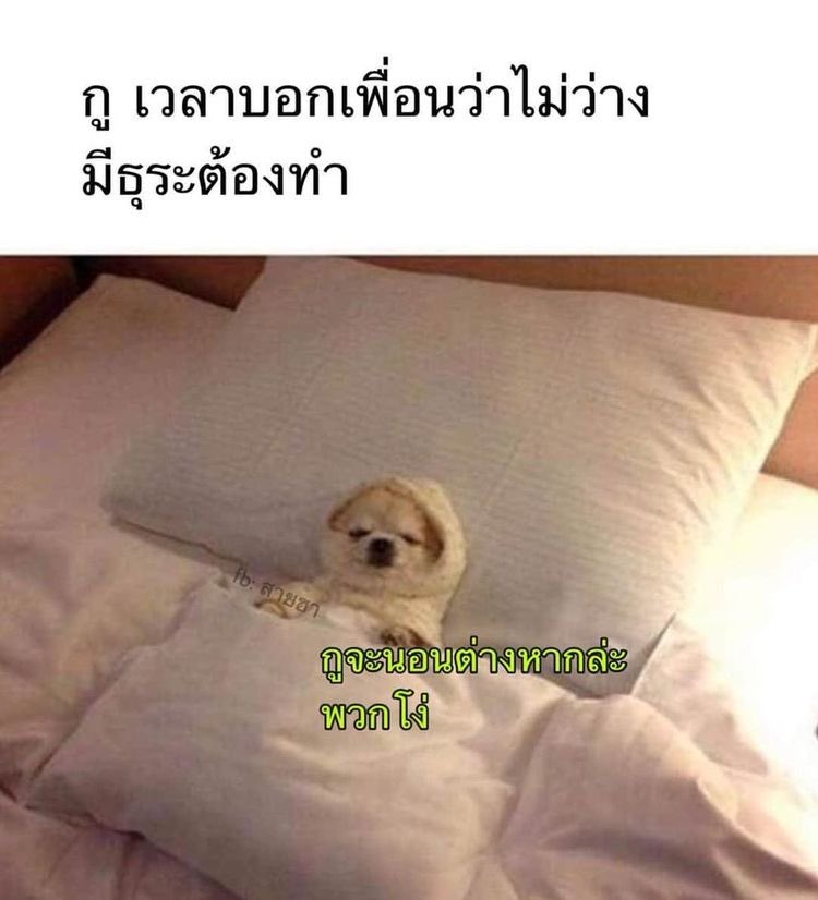 เด็กชายคำคม tweet media