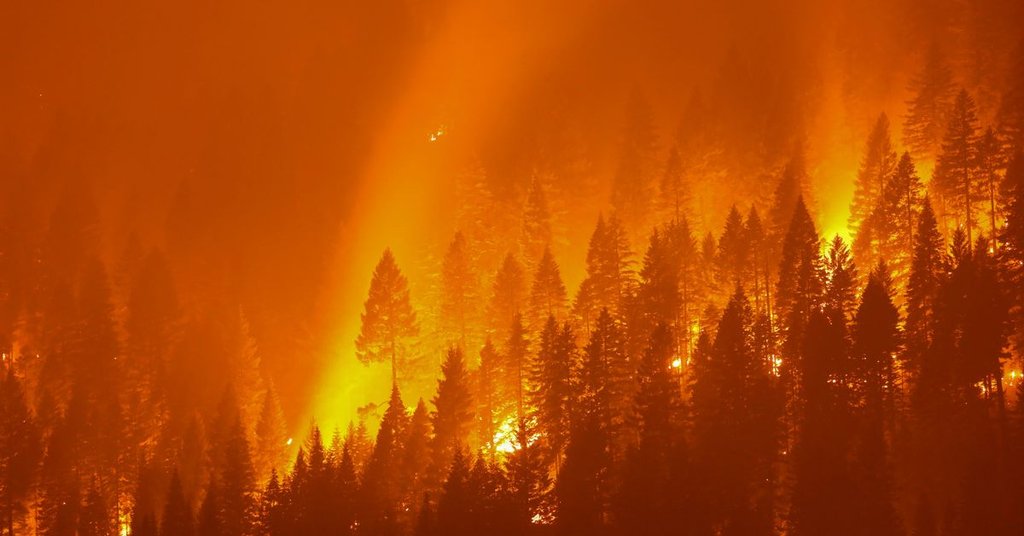 Climate Champions tweet media