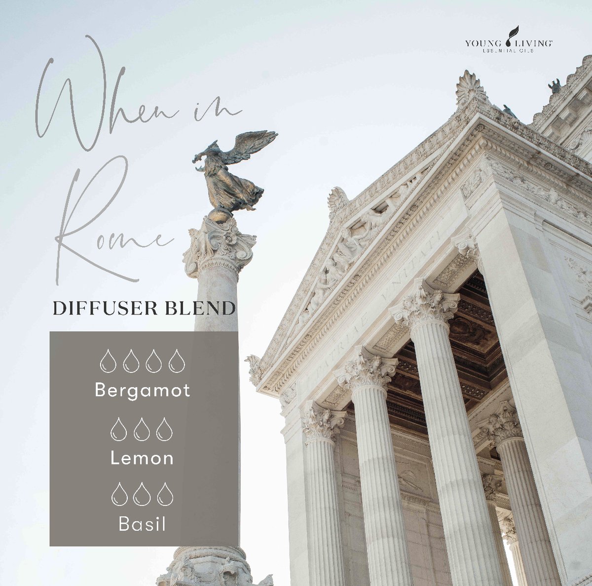 YoungLivingAF's tweet photo. Channel that travel energy with this lovely diffuser blend that is remnant of the atmosphere, great weather and architecture that is #Rome ๐ฎ๐น๐ฉ๏ธ๐คโจ #DiffuseAndBloom #YoungLivingAfrica https://t.co/HWUAWktQ2S