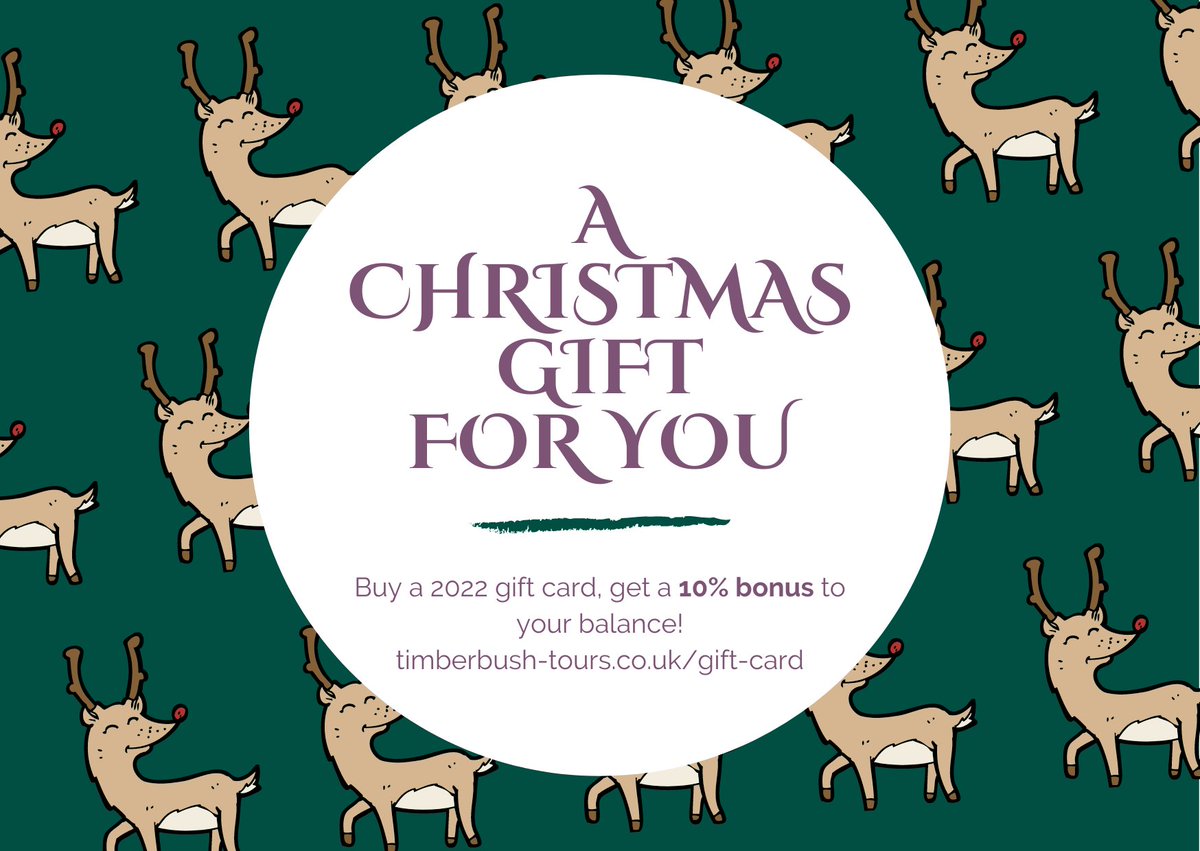 timberbushtours's tweet photo. We're offering an additional 10% balance on all 2022 gift cards until 21st December! Go green, book an experience and gift your loved one an #adventure they'll remember for years to come! #timberbush #Christmasgifts #AdventureAwaits https://t.co/8m2rJvOrE6