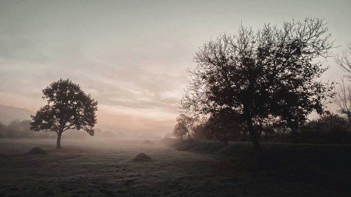 Zsolaindeed's tweet photo. It’s that time of the year when I post stuff in twitter again #photography #nature #fog https://t.co/O1DVhvelk7