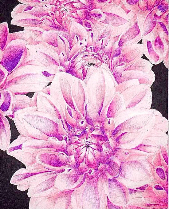 色鉛筆で描いたダリア

#ダリア #芸術同盟 #絵描きさんと繋がりたい 