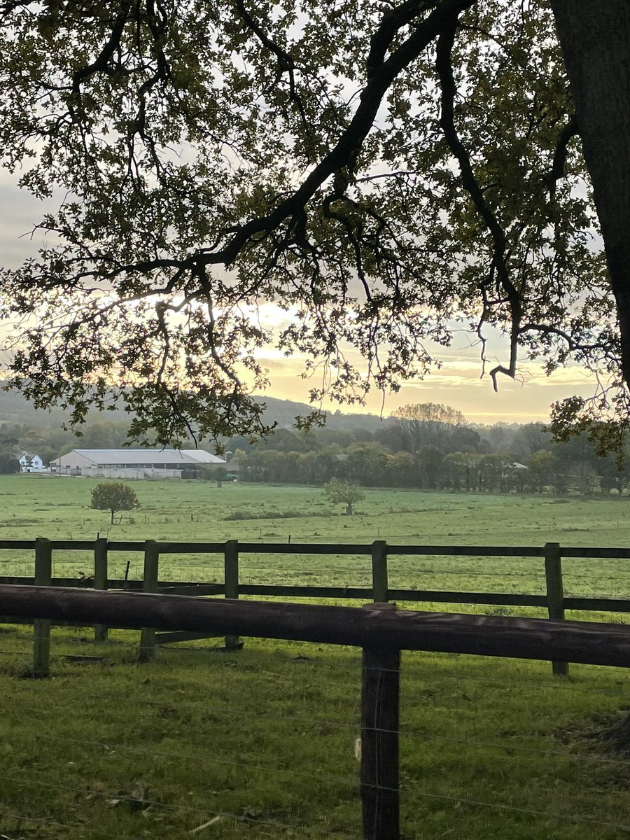 janinej1508's tweet photo. View from the office this morning! @WiltsColl #lackham #Wiltshire #LoveWhereYouWork https://t.co/1fl7H9XyYx