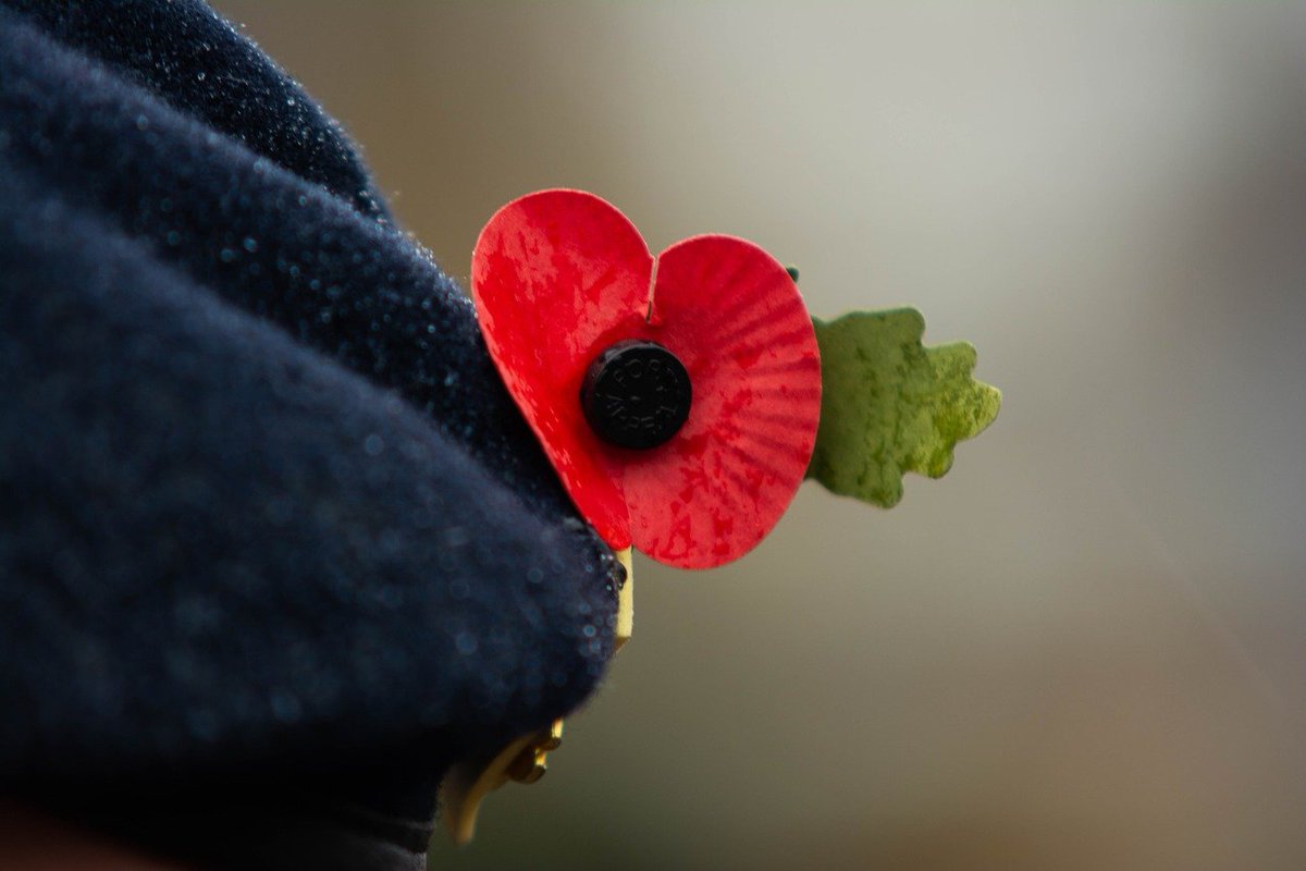 Join us as we pay our respects this Remembrance Sunday, November 14, with services taking place in all four neighbourhoods of the borough. 

We encourage all attendees to wear face coverings to limit the spread of Covid-19 and flu.

Full details: bit.ly/RBKRemembrance