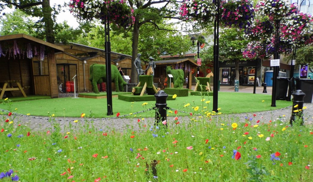 lighthallschool's tweet photo. Massive well done to Evie B for winning 1st place in the "Best of Solihull" photography competition. Her work will be on promotional material & part of an exhibition. In the meantime, here's a sneaky peak.... #teamlighthall #ourstudentsareamazing #livingourcorevalues https://t.co/ha1YphFGO0