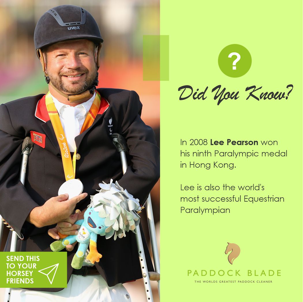 PaddockBlade's tweet image. Lee Pearson is an inspiration to us and it&apos;s a fact!
.
.
.
#paddockblade #paddockbladeau #paddockcleaner #horselife #horselove #horseshoebend #horseaddict #horses_of_instagram #ilovemyhorse #horseofinsta #horsephotog #horseride #lovemyhorse #horsesplanet