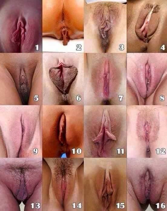 fracasco1's tweet photo. A tutte le donne chi vuole partecipare per dirmi a quale assomiglia di più la loro ….?? #donne #fighe #pussy #hot #nude #passera https://t.co/bdct2jy0By