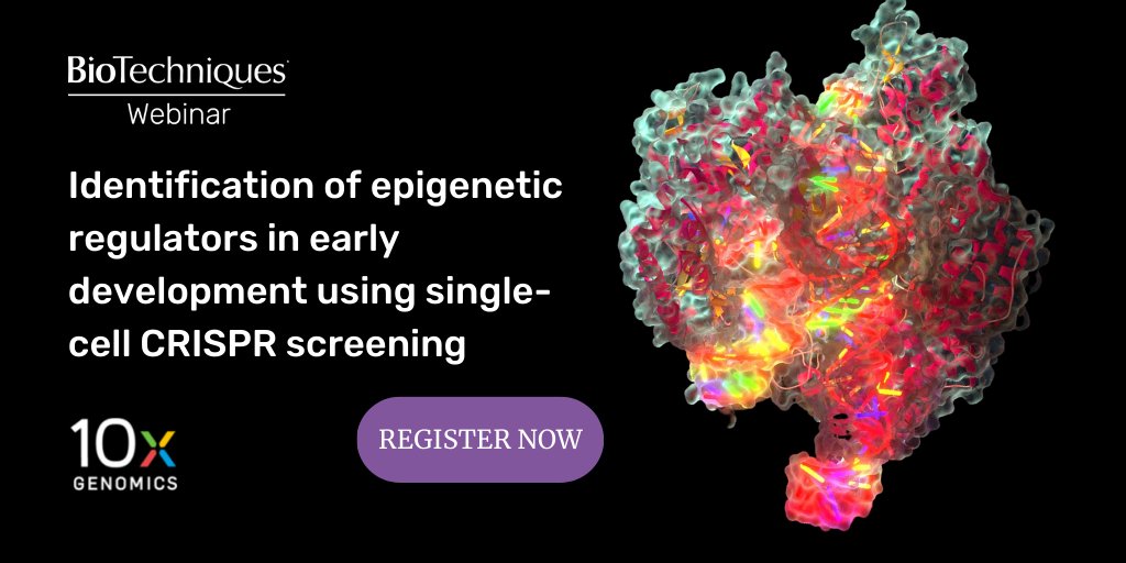 Are you interested in using #CRISPR screening? Find out from speaker, <a href="/CeliaAlda9/">Celia Alda-Catalinas</a>, how it can be useful for identification of early development #epigenetic regulators. Register for our FREE webinar >>> bit.ly/3jNM3oq