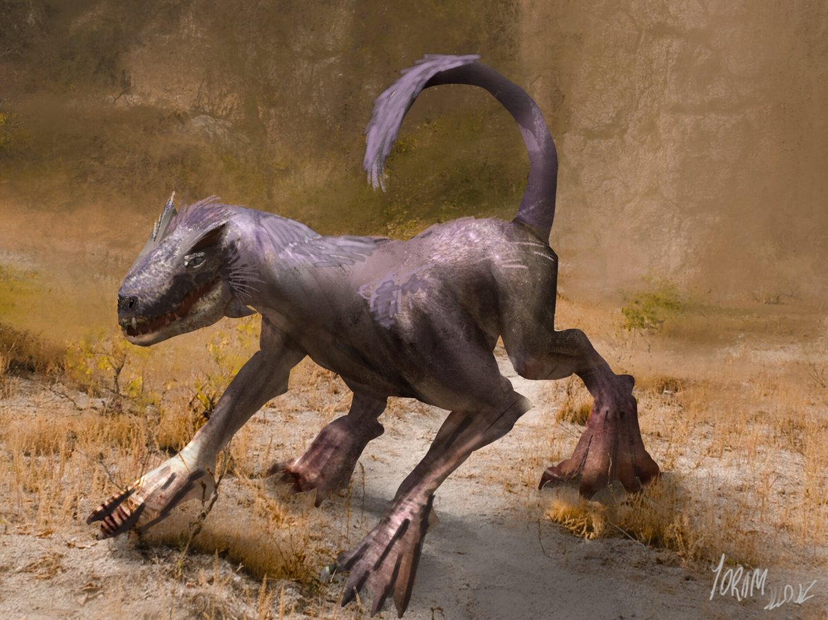 YoramDev tweet media