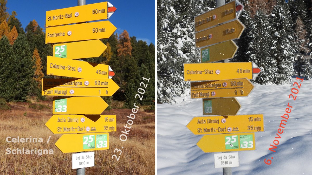 georggmuer's tweet photo. .#LejDaStaz 😊 #BeforeandAfter 
#Celerina #Schlarigna 🌞 #Graubünden

#IndianSummer vs #Novemberwinter
#Autumnvibes vs #WinterWonderland

#GoldenerOktober 🇨🇭 #InLoveWithSwitzerland #EngadinValley #CaptureYourIconicMoments #landscape #GetOutside #Inspiration @ThePhotoHour #GGMLive https://t.co/0ZfaN3a9Fk