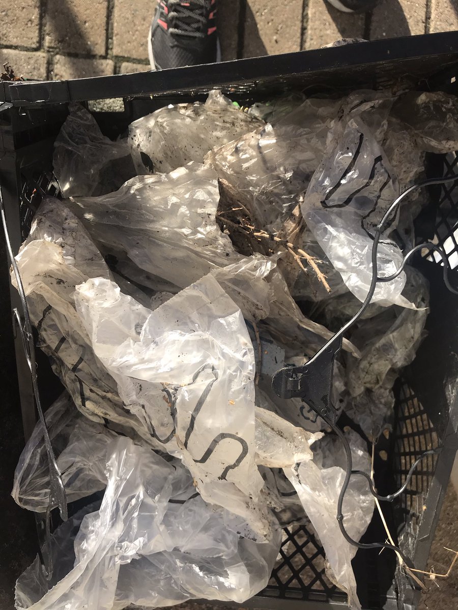 timdalton912's tweet photo. @Shell_UKLtd @Shell @ShellStationsUK our community clear hundreds of these every week from the hedges opposite your Northolt road @waitrose . We need a solution. Today we were told by your employee they are no longer your responsibility once they have left the forecourt? https://t.co/ixtoLuFklv