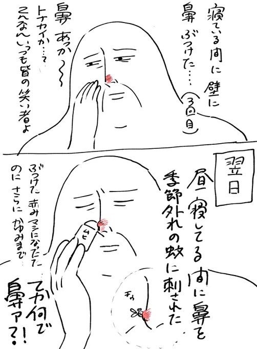 日記 鼻が踏んだり蹴ったり食らいまくってる👃 