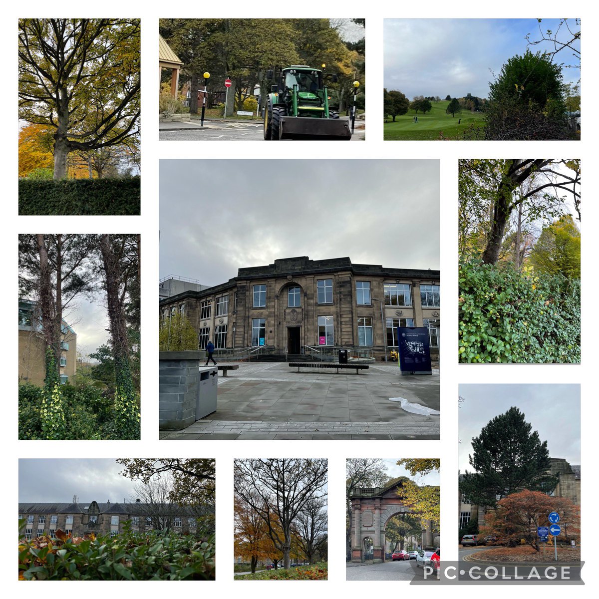 Trisha_the_doc's tweet photo. One thing about walking to your destination is that you can take pictures as you go!
Here’s the @uniofedinburgh @uoeKB campus this morning.
Autumn trees, lovely buildings, and a bonus… a digger! https://t.co/orYUMLCPTB