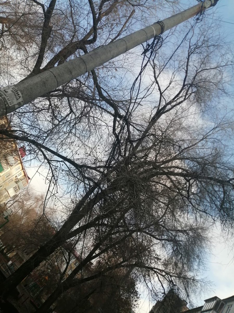 14dedin96's tweet photo. Дерево висит на воздушной линии электропередач, необходимо провести опиловку крон деревьев в охранной зоне воздушной линии.
Создаётся аварийная ситуация отрава провода.
Адрес: 22 партсъезда д. 20 Подстанция 3226. @EDDSSamara @SamMobilePriem https://t.co/KDNxCpB1cc