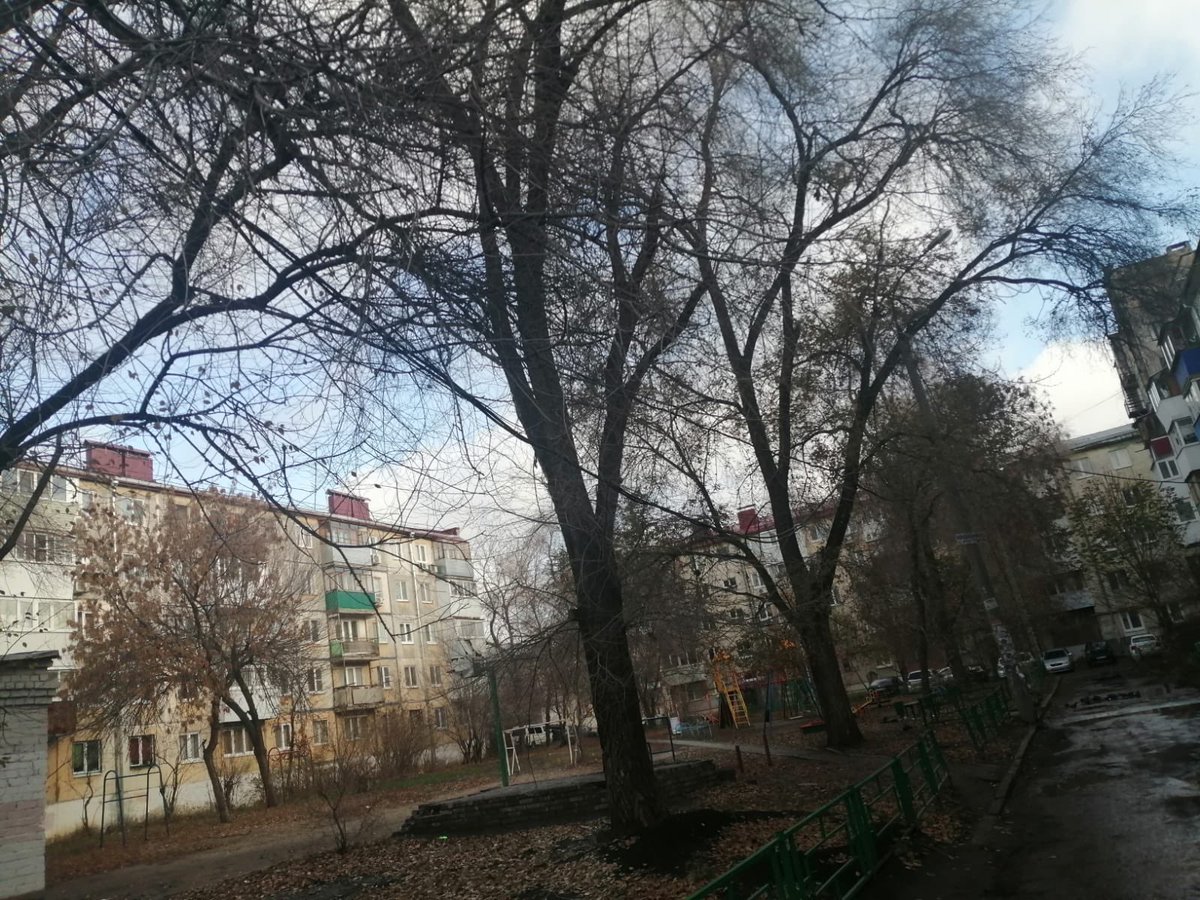 14dedin96's tweet photo. Дерево висит на воздушной линии электропередач, необходимо провести опиловку крон деревьев в охранной зоне воздушной линии.
Создаётся аварийная ситуация отрава провода.
Адрес: 22 партсъезда д. 20 Подстанция 3226. @EDDSSamara @SamMobilePriem https://t.co/KDNxCpB1cc
