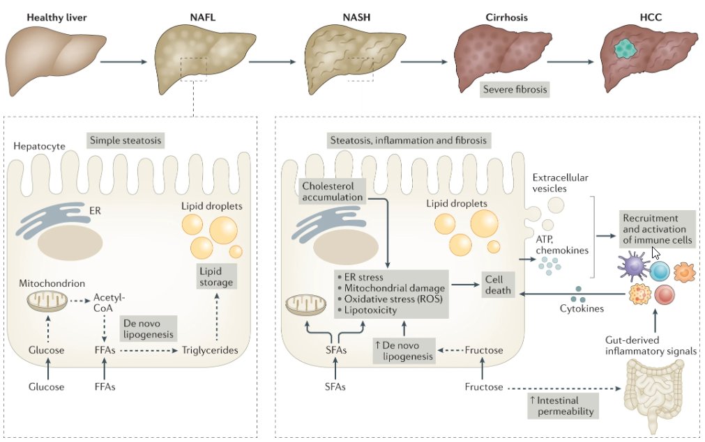 Nature Rev Immunol tweet media