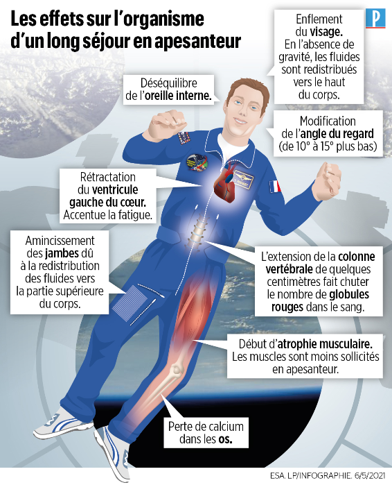 leparisieninfog's tweet image. #ThomasPesquet  de retour sur Terre : Les effets sur l’organisme d’un long séjour en apesanteur &amp;gt;&amp;gt; leparisien.fr/sciences/thoma…