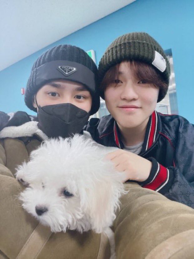 _daysvt's tweet image. photo dump of cute pics ((i went through my twt gallery so ;;;;))