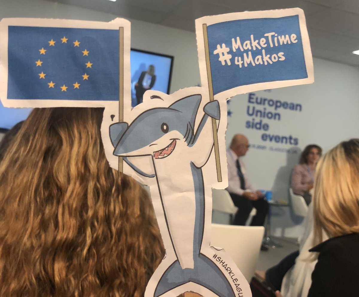 dominocean's tweet photo. At #COP26 #EUOceanDay - @Teresaribera: Keep up your support for makos! Urge the @EU_Commission to change course & get on board with a total #ICCAT ban on North Atlantic shortfin makos as scientists advise - Ending #overfishing is #climateaction #MakeTime4Makos #SharkLeague https://t.co/XZi11LwsUZ