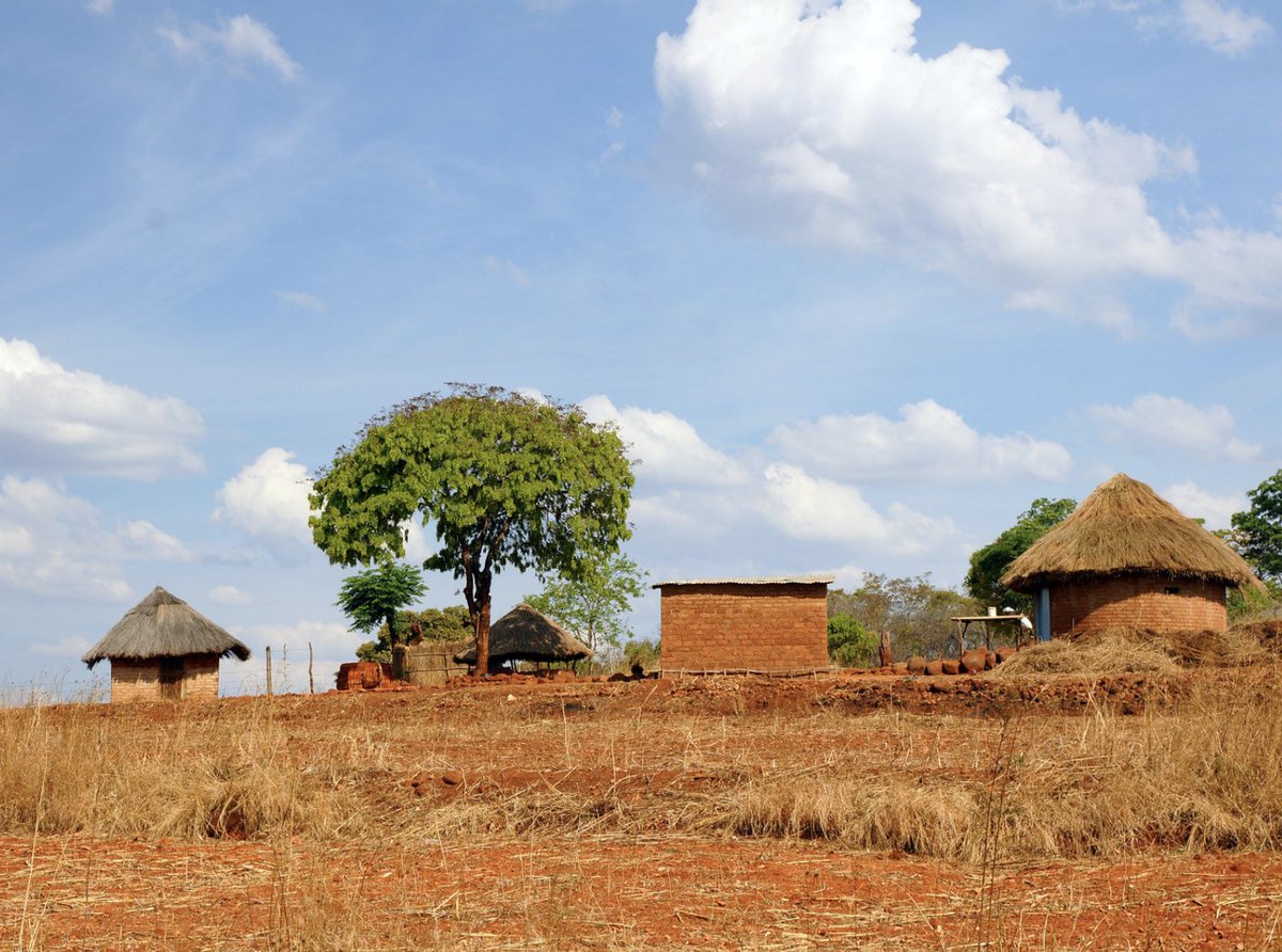 MyTreesTrust's tweet photo. Many rural #Zimbabwean households are reliant on wood as a #fuelsource for cooking and heat. Often it’s #indigenous, slow growing trees that are cut for fire food. This is a big problem. https://t.co/Orc41RGet8