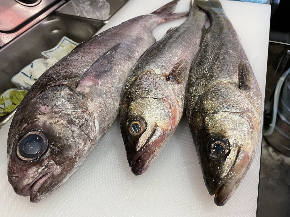 こんばんは❗️
今日もお疲れ様です❗️
今日はスズキ、目鯛おすすめです🐟
数量限定なのでお早めに❗️
#晩杯屋 #晩杯屋町田本店 #晩杯屋町田店 #町田居酒屋