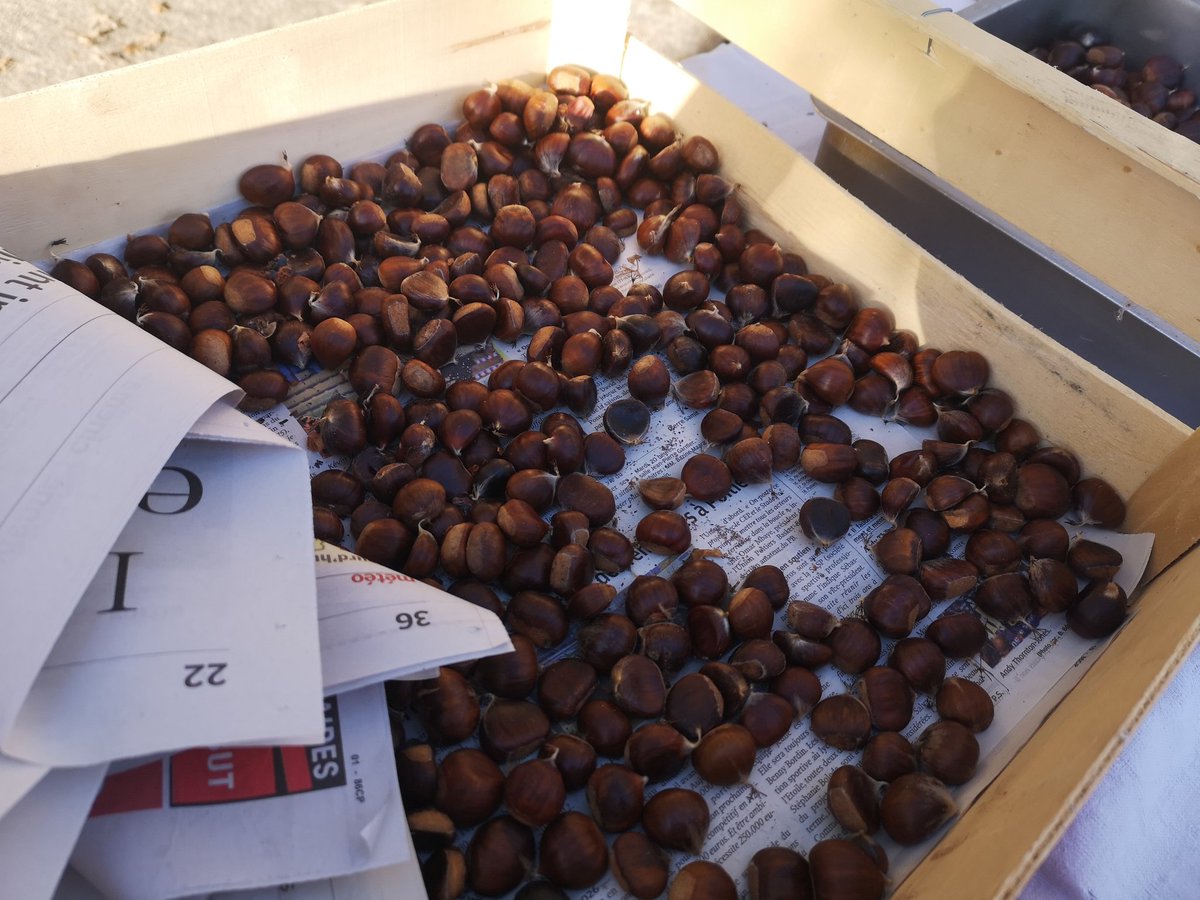 Projet Territoires Zéro Chômeur - Grand Poitiers tweet media