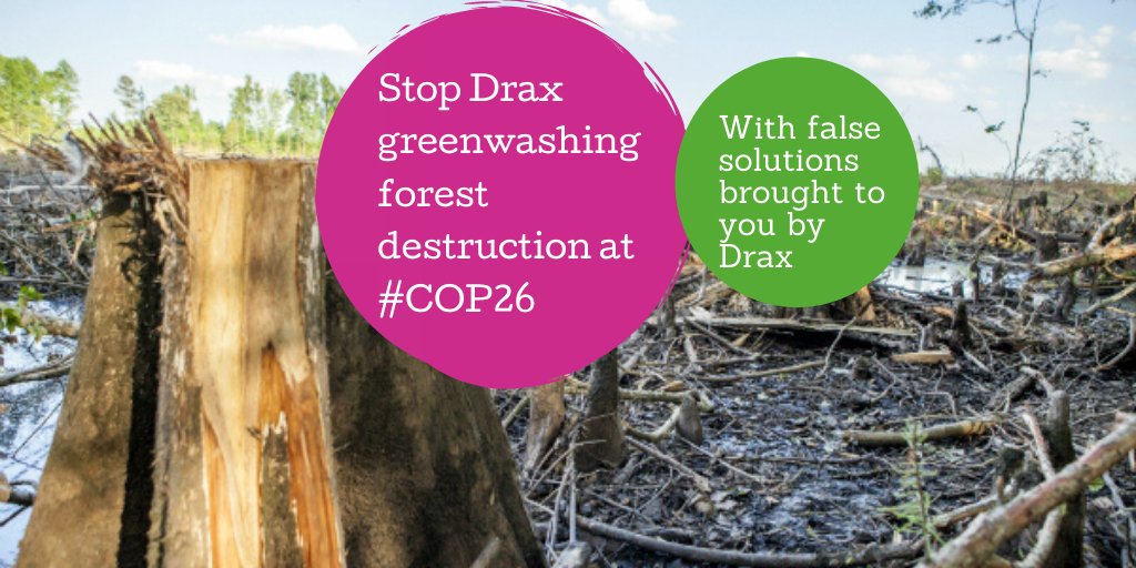There is nothing sustainable or innovative about burning trees for fuel! Stop Drax and Enviva's greenwashing of #COP26 at the Sustainable Innovation Forum #SIF21 & the World Bioenergy Association’s #BigBadBiomass events: environmentalpaper.org/the-biomass-de… #ForestsAreNotFuel #AxeDrax