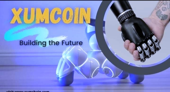 Rrhyedahl's tweet photo. @XUMOfficial Xum Coin..
#xumCoin https://t.co/PdunblLsu1
