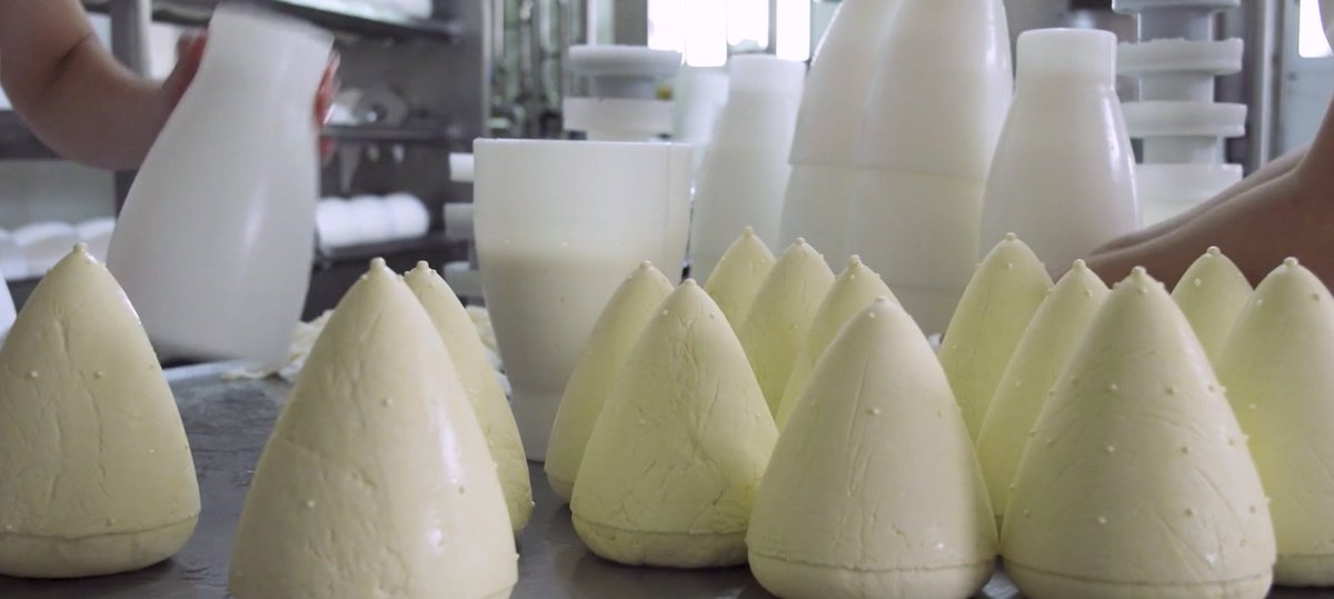 SanSimondaCosta's tweet photo. 🙌🧀  Manos a los quesos 🧀🙌
Las queserías amparadas en la #DOP ya trabajan en los #quesos @SanSimondaCosta para dar el toque ahumado a vuestras tablas, comidas y cenas de #navidad 🎄😋.

⏳ El período min. de maduración es de 45 días para el formato grande y 30 para el pequeño https://t.co/utUGxk6QTw
