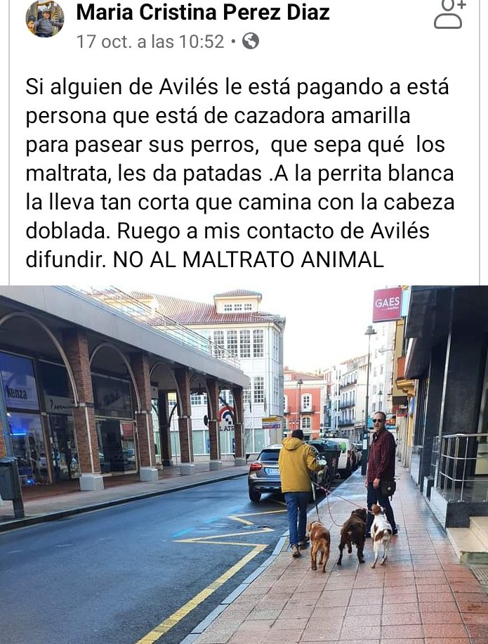 Paula_pc89's tweet photo. 🆘Avilés🆘
Difusión por favor https://t.co/hDVgF4LKMn