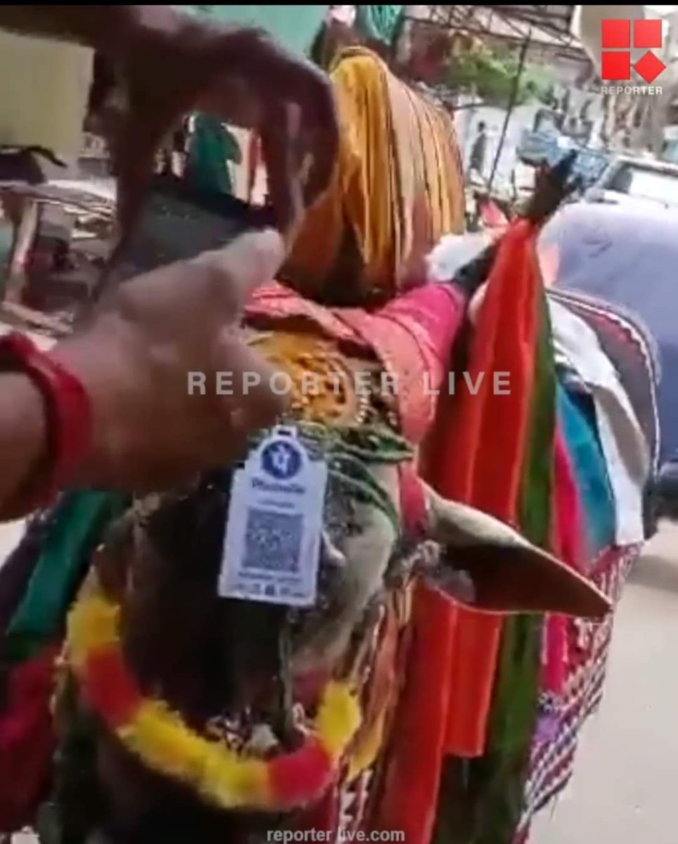 HaridasKishore's tweet photo. A God having #Aadhaar and an Ox with #Phone_Pay.....
What a miracle? https://t.co/mtBTGLXwuu