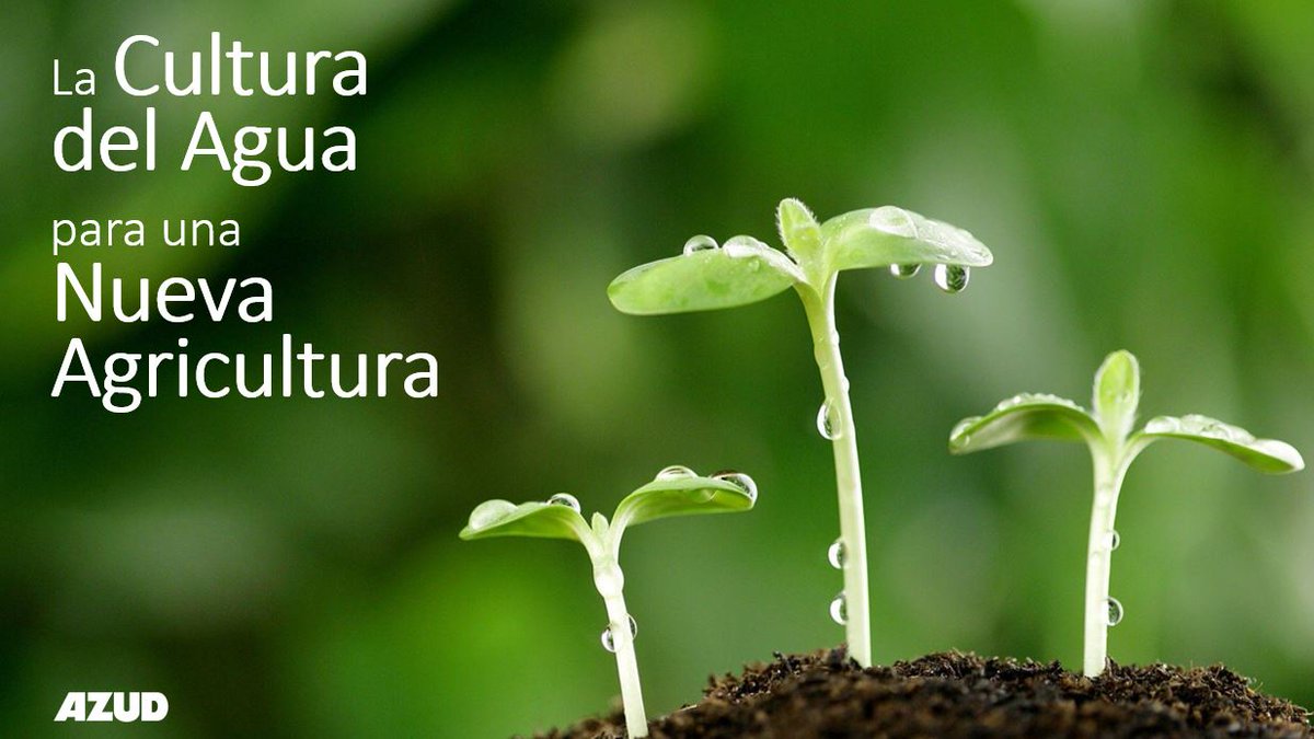 AZUDWater's tweet photo. ¡Os esperamos en #INNOVAM+ en Cartagena!

Tenemos la oportunidad de presentar todas nuestras innovaciones en sistemas de riego y fertirrigación aplicadas a proyectos de investigación y desarrollo como #BLOOM, #SUBALMA, #DIRELMIVID, #SUDIPRO, #TOMABIOTIC, #OXIDAGUA

#AZUDteam https://t.co/xSz8aJOwFa
