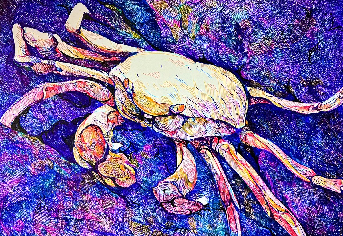 no humans traditional media painting (medium) watercolor (medium) solo bug general  illustration images