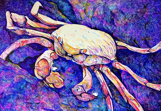 ボールペンでカニさん描きました!🦀
1人でも多くの方に見て欲しいです!

#ボールペン画 #イラスト 
#絵描きさんと繋がりたい 