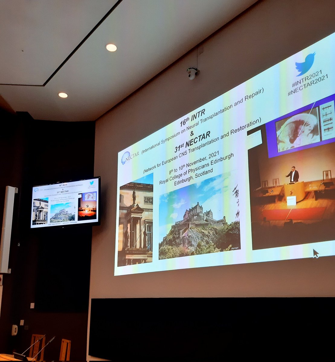 NicoMarichal's tweet photo. Ready for an exciting 2nd day at INTR-NECTAR Meeting! #INTR2021 #NECTAR2021 #reprogramming #neuraltransplantation #brainrepair #spinalcordrepair https://t.co/G0yBMNxXVb