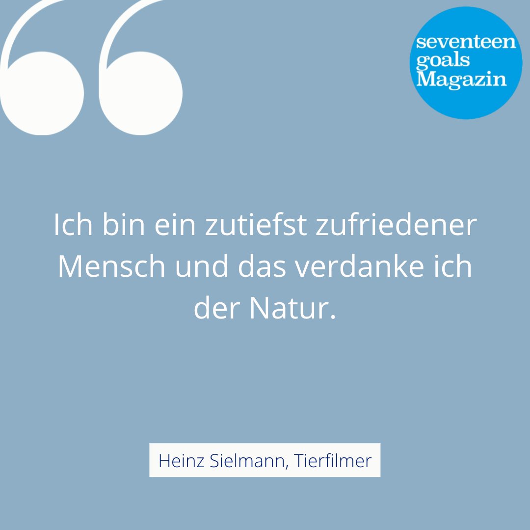 Seventeen Goals Magazin tweet media