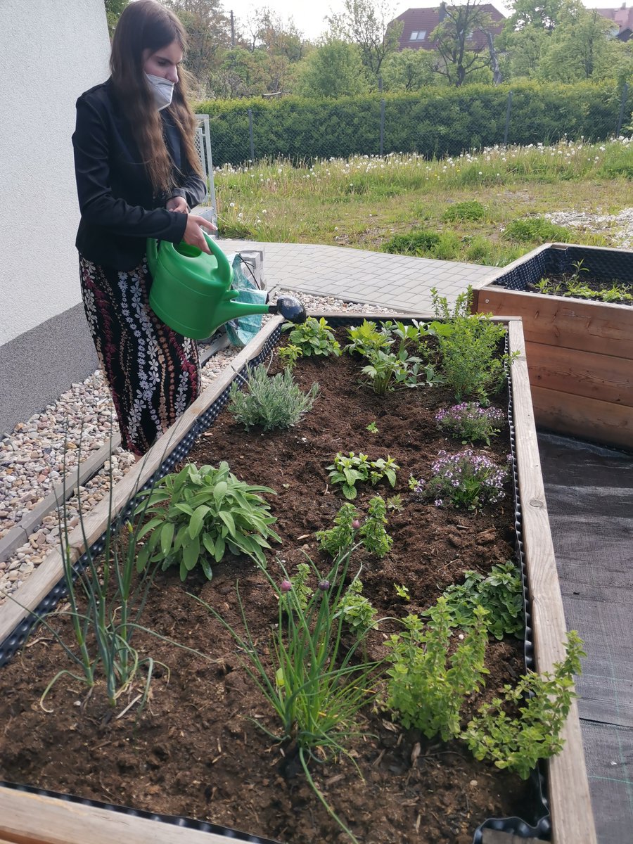 Ergotep's tweet photo. Způsob sázení ve vyvýšených záhonech dopadl více než úspěšně, a my jsme tak měli několik druhů zeleniny, nebo okrasné květiny 🥬.

Více zajímavých témat si můžete přečíst v aktuálním vydání Ergonovin 👉 https://t.co/gbFkdSOAHp https://t.co/TOWJjAuFw5