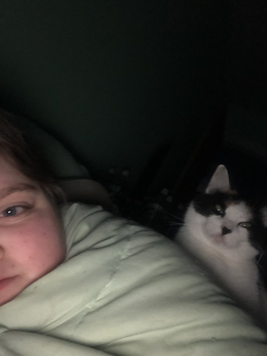 sundaekitter's tweet photo. on mum is purrfect place fore sleep https://t.co/hPAUN3iQzl