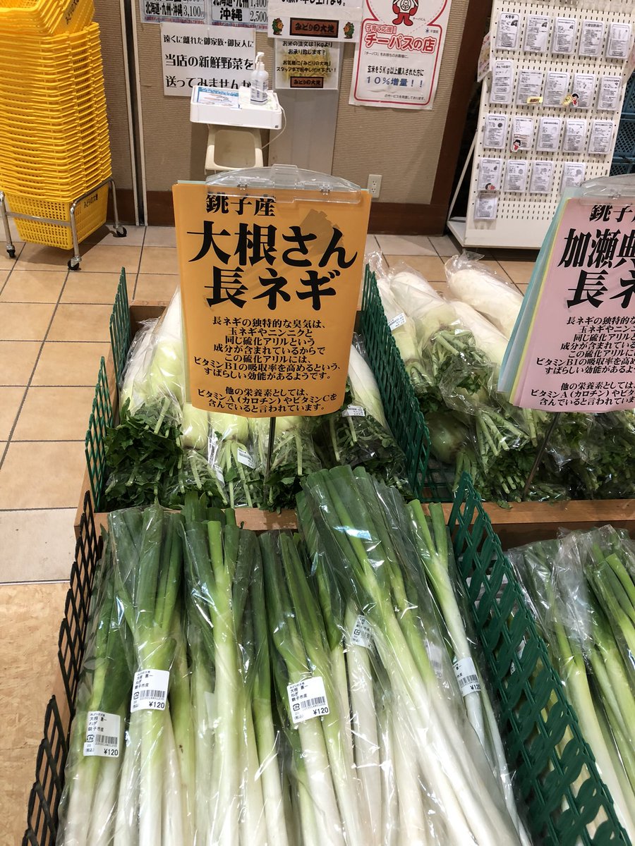 天職をニアミスした
長ネギ農家の大根さん。