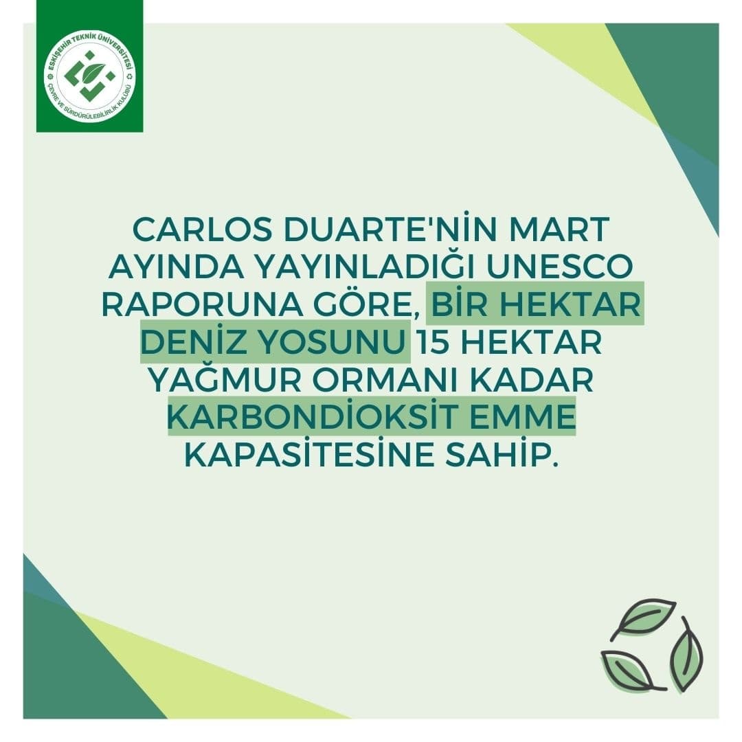 estucsk's tweet photo. Dünyanın akciğeri 'Neptün Otu': Ağaçtan daha fazla karbondioksit depolayan mavi karbon ekosistemi

Kaynak;Euronews

Daha ayrıntılı bilgi için Instagram sayfamızı ziyaret edebilirsiniz ♻️ 

https://t.co/8m0EGNM71X https://t.co/Q9yA8TYoZA
