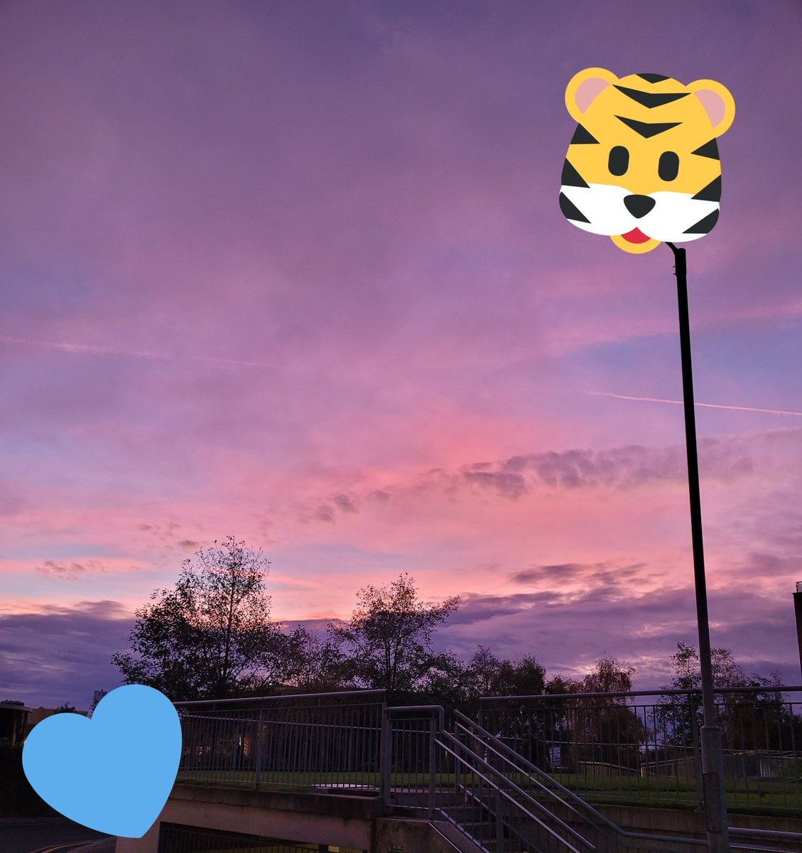jhen414's tweet photo. #KimSeonHo #๊น์ ํธ
Sending this beautiful pastel sunrise to all. Hoping that KSH is well and recuperating from this nightmare. ๐๐๐๐๐๐
#irishweather #irishsky #nofilter
#sunrise https://t.co/0WLyyZmw1F
